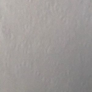 Meet your Posher, Randall